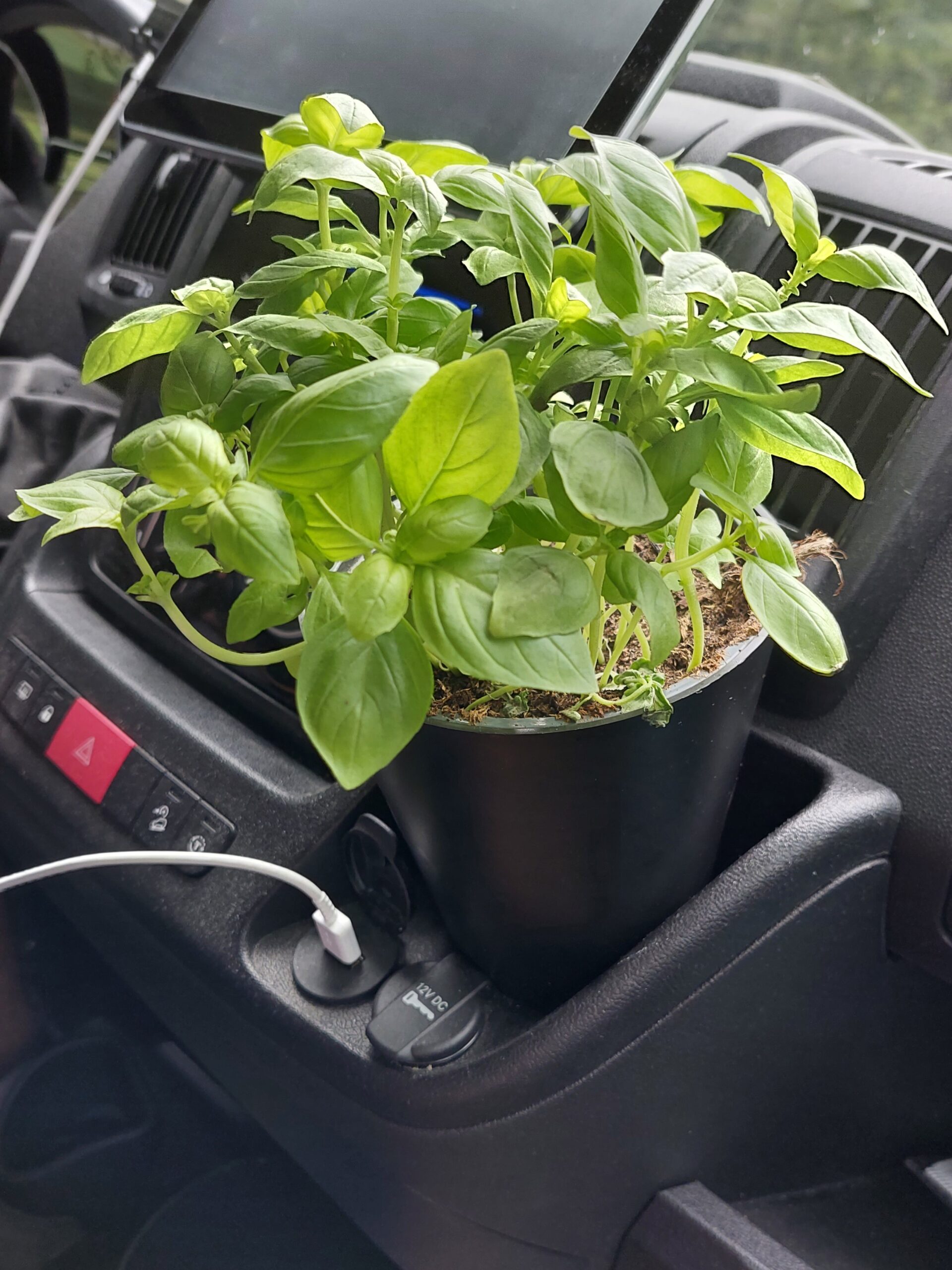 camperflower-cockpit-gadget-pflanzenhalter-fiat-ducato image 5