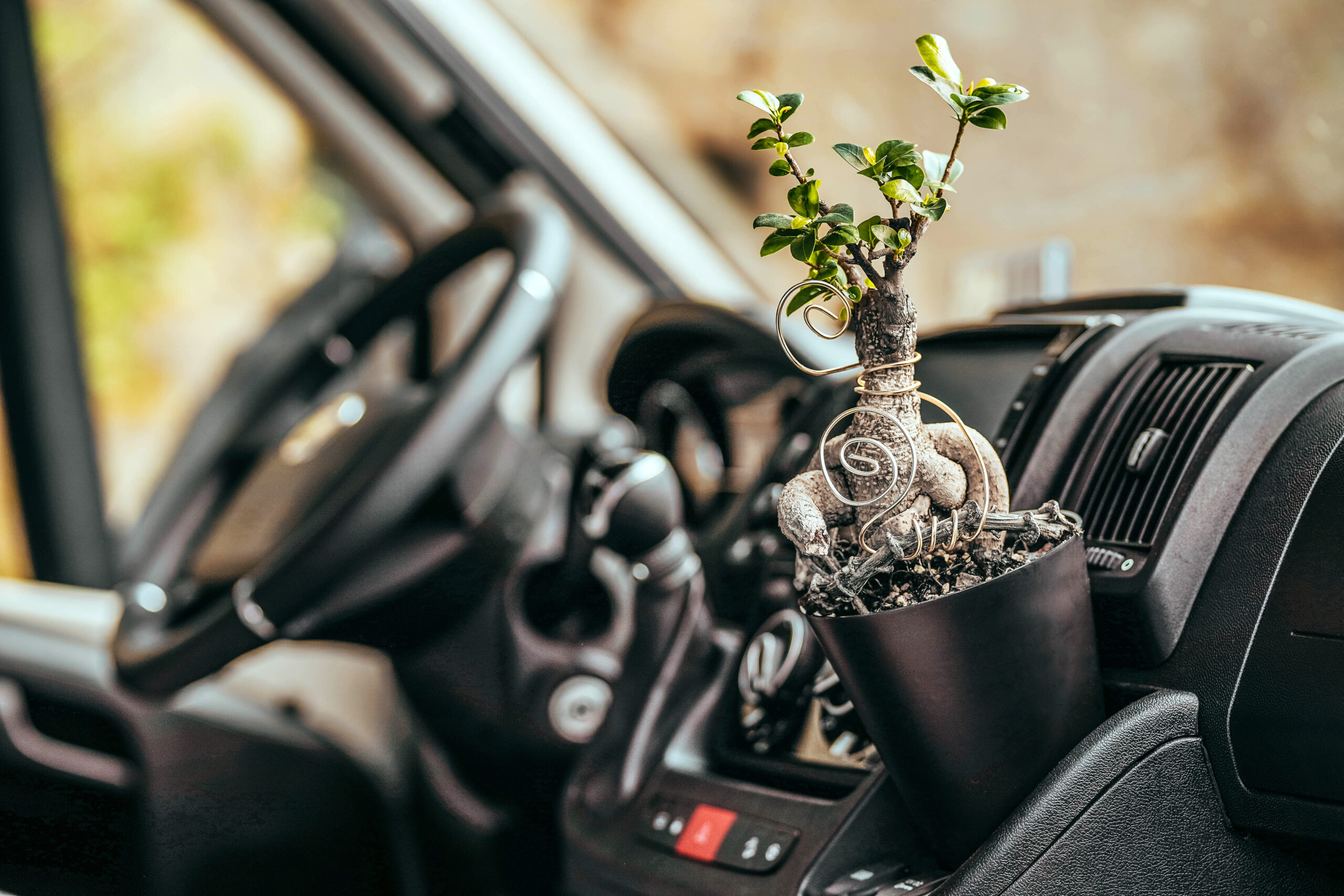 camperflower-circle-of-camper-life-set-abzieher-cockpit-gadget image 6