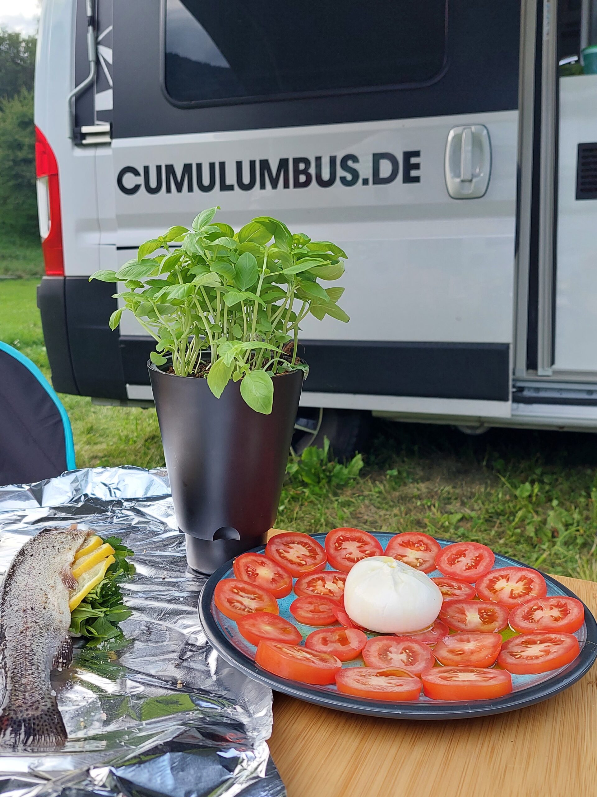 camperflower-cockpit-gadget-pflanzenhalter-fiat-ducato image 6